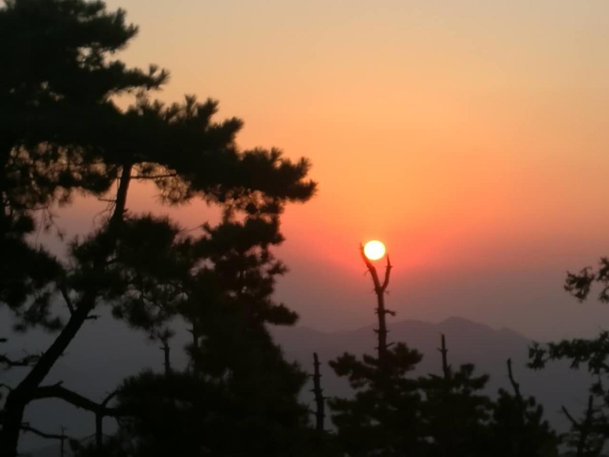 Mogan Mountain Xiaomusensen Βίλα Deqing Εξωτερικό φωτογραφία