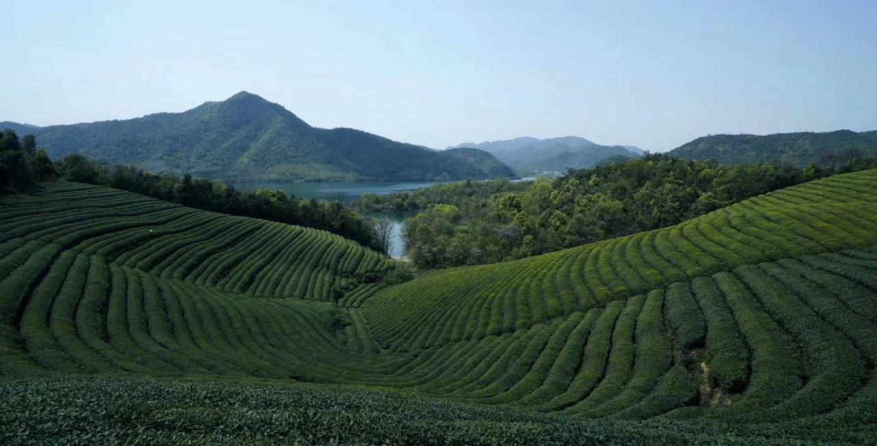 Mogan Mountain Xiaomusensen Βίλα Deqing Εξωτερικό φωτογραφία